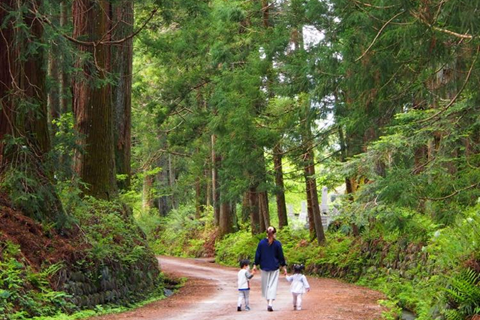 日光杉並木の散歩