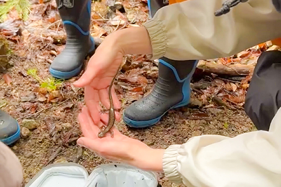 日光の秘境で珍味と文化に出会う旅