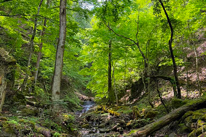日光の秘境で珍味と文化に出会う旅
